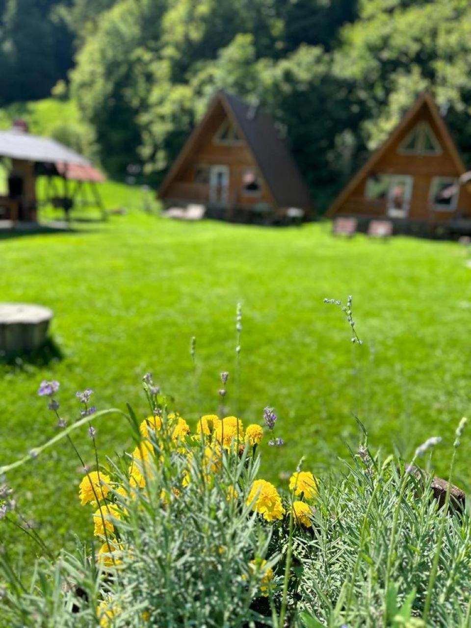 Cabanutze Satic Villa Rucăr Buitenkant foto
