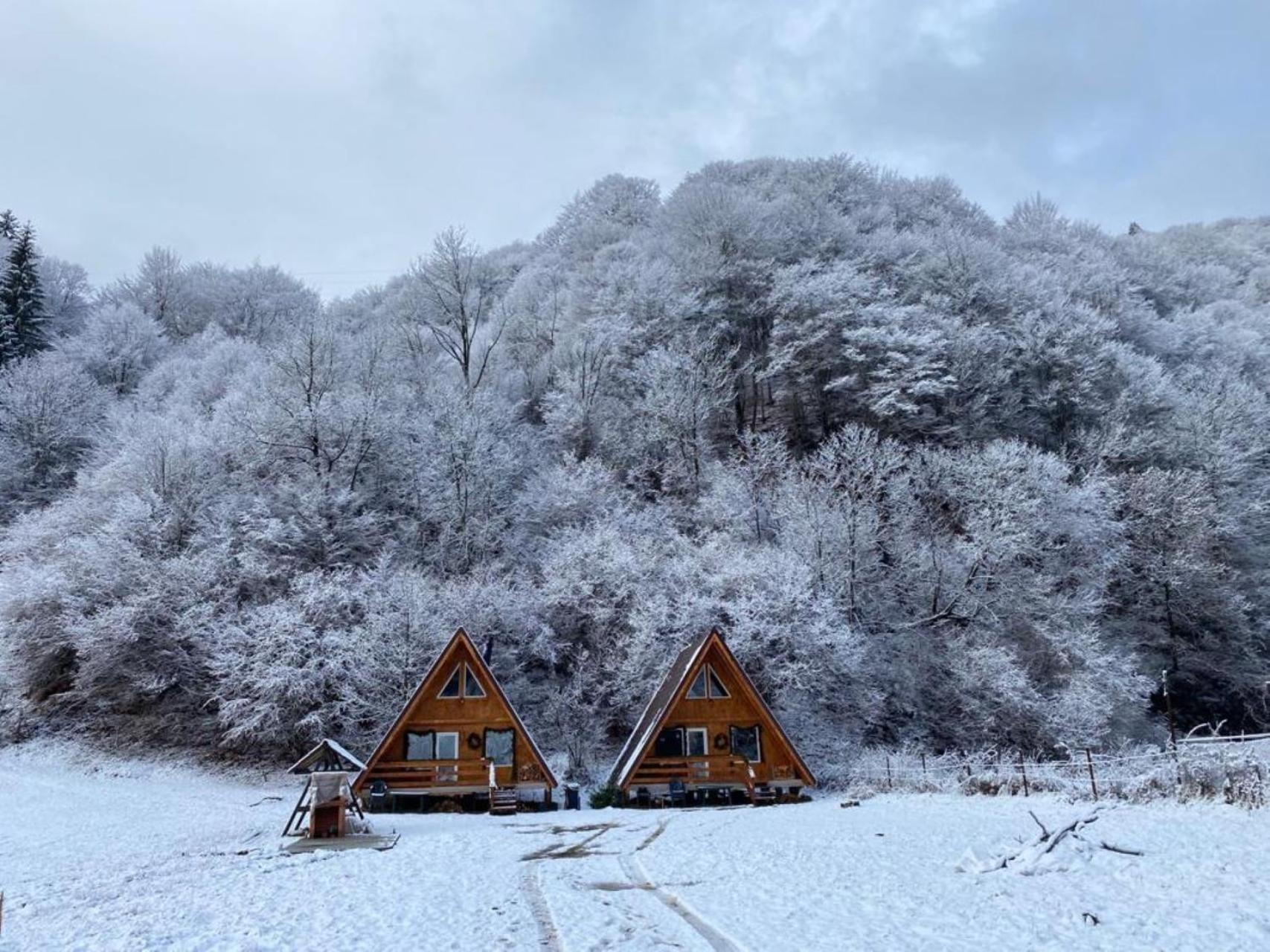 Cabanutze Satic Villa Rucăr Buitenkant foto
