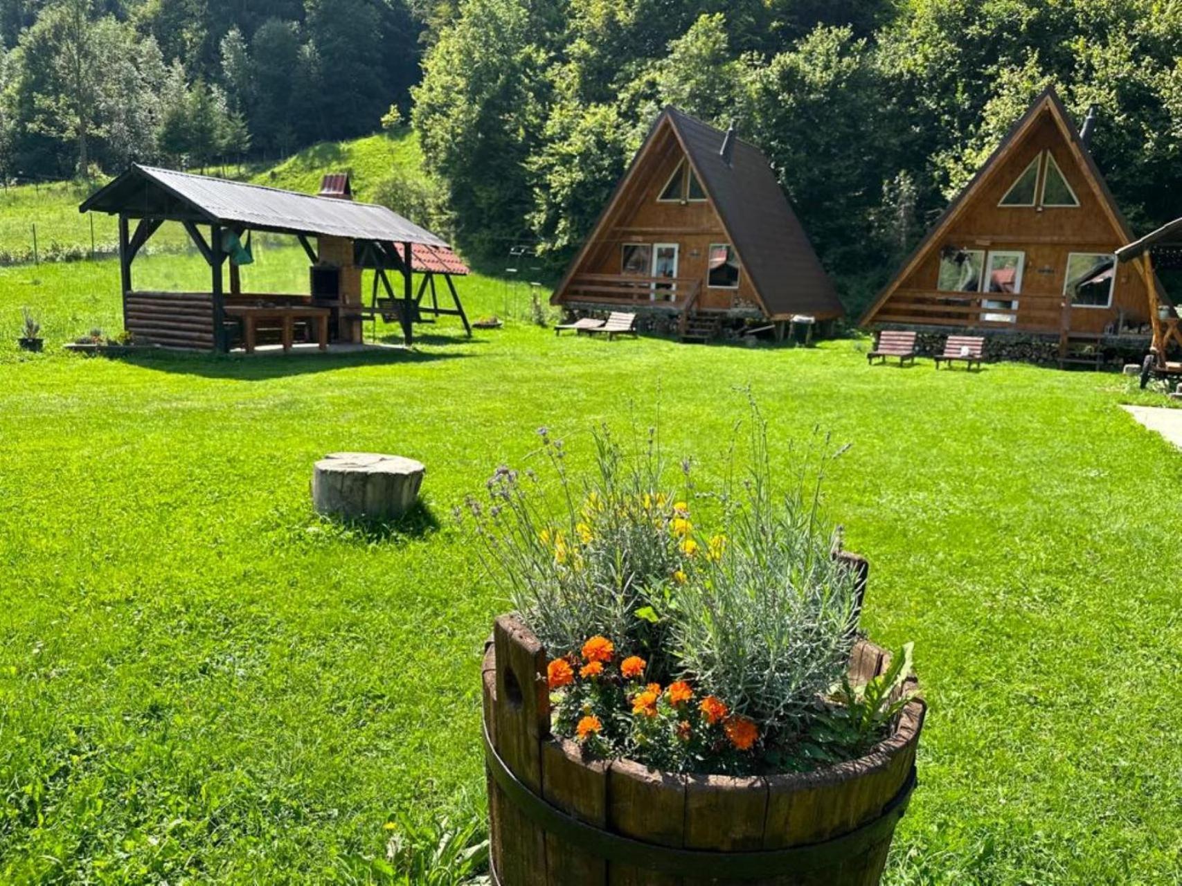 Cabanutze Satic Villa Rucăr Buitenkant foto