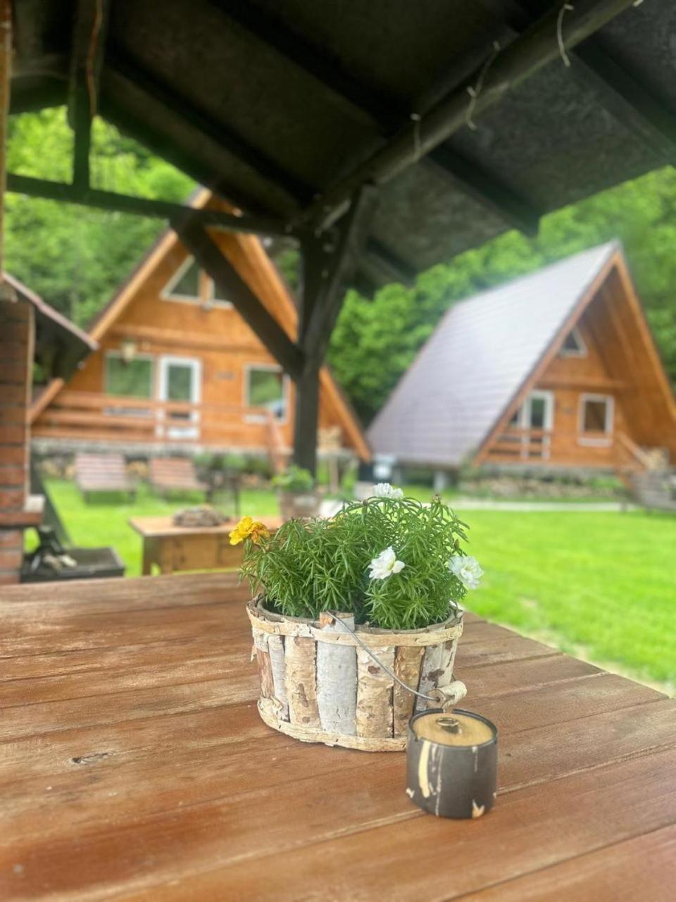 Cabanutze Satic Villa Rucăr Buitenkant foto