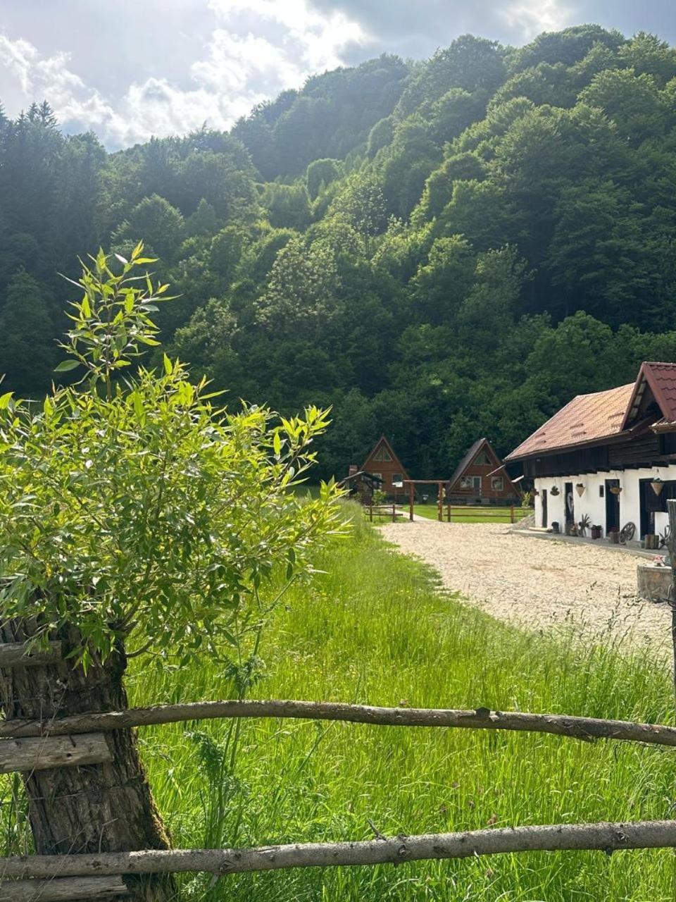 Cabanutze Satic Villa Rucăr Buitenkant foto