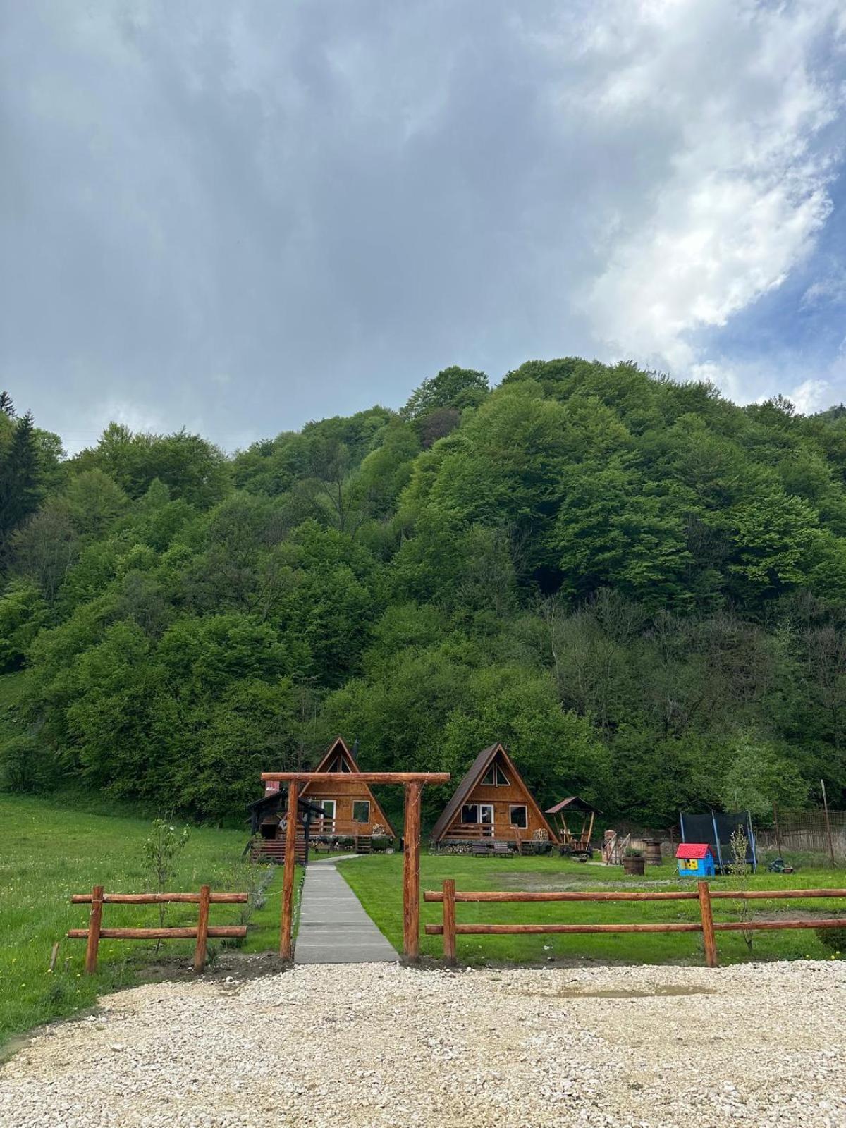 Cabanutze Satic Villa Rucăr Buitenkant foto