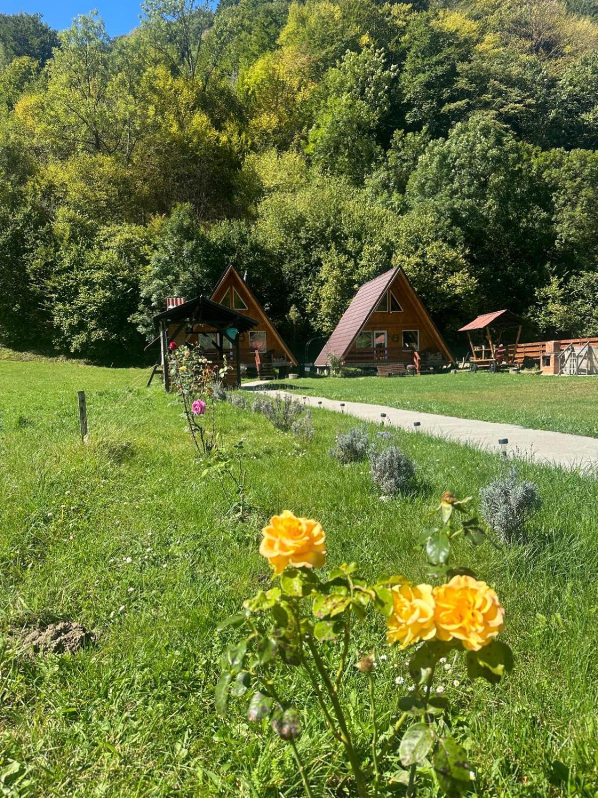 Cabanutze Satic Villa Rucăr Buitenkant foto